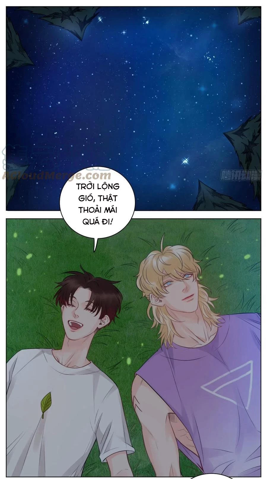 Ký Túc Xá Nam Phòng 303 Chapter 51 - 16