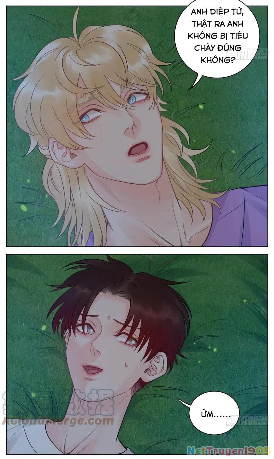 Ký Túc Xá Nam Phòng 303 Chapter 51 - 17