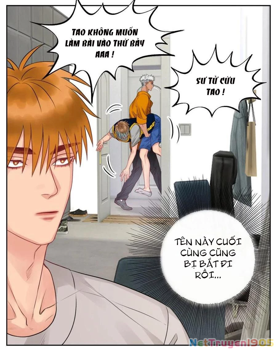 Ký Túc Xá Nam Phòng 303 Chapter 52 - 5