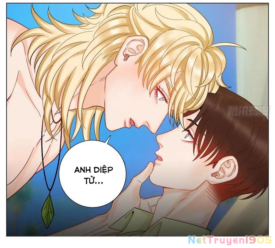 Ký Túc Xá Nam Phòng 303 Chapter 60 - 17