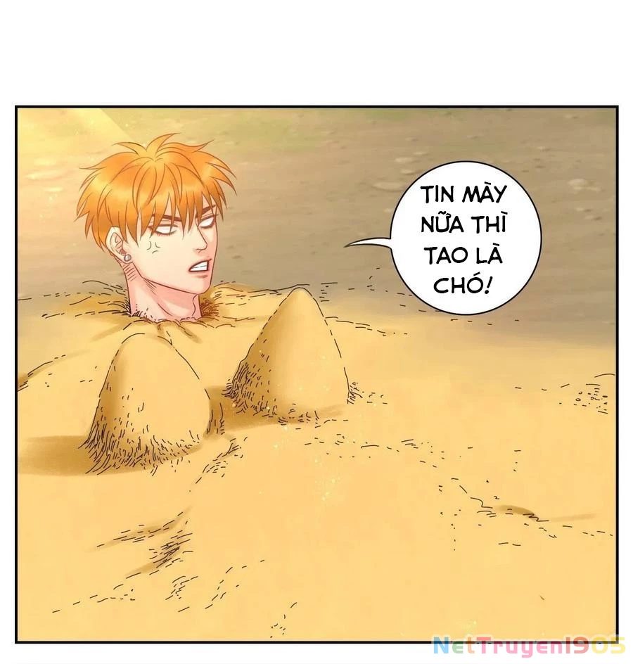 Ký Túc Xá Nam Phòng 303 Chapter 61 - 7