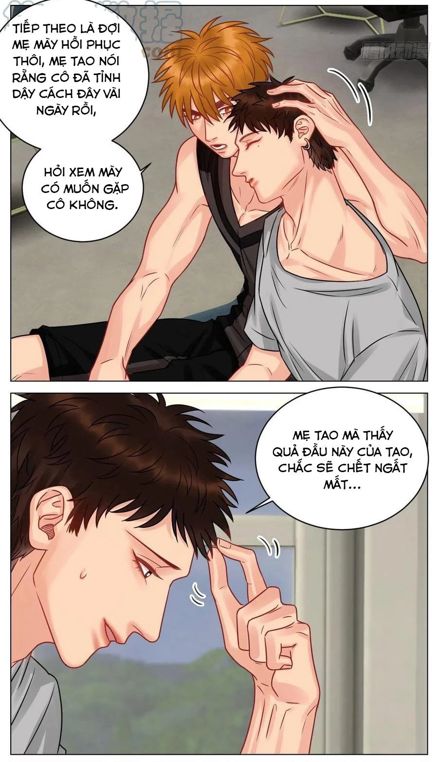 Ký Túc Xá Nam Phòng 303 Chapter 182 - 4