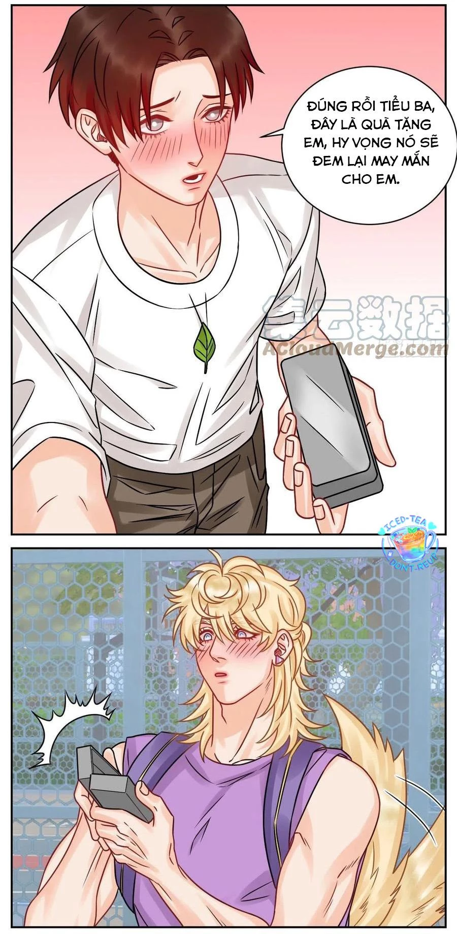 Ký Túc Xá Nam Phòng 303 Chapter 184 - 3