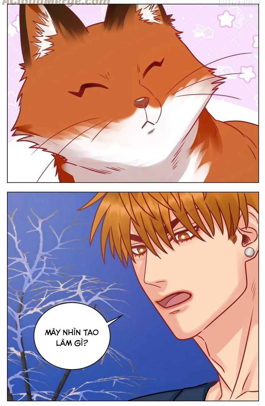 Ký Túc Xá Nam Phòng 303 Chapter 189 - 5