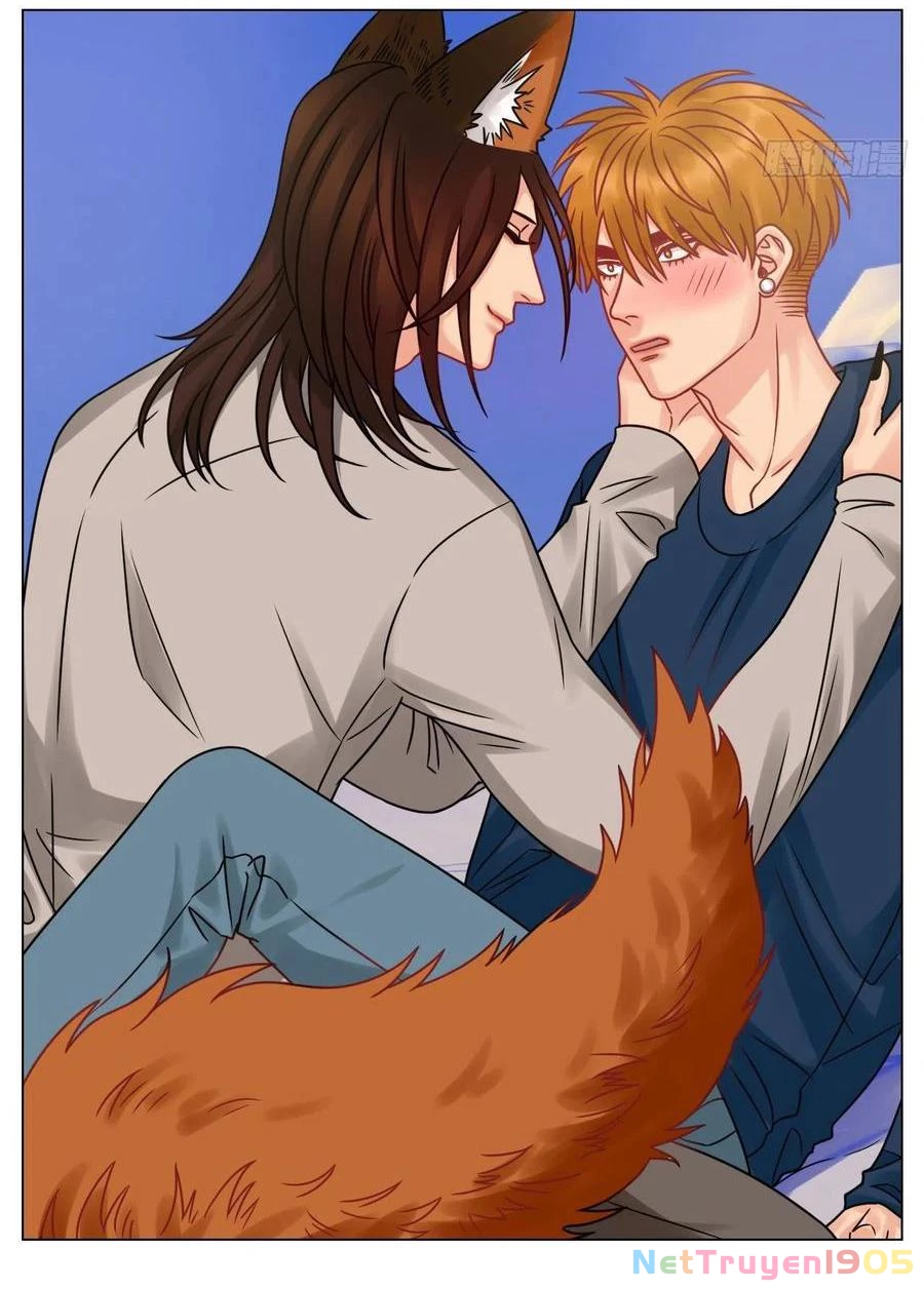 Ký Túc Xá Nam Phòng 303 Chapter 189 - 12