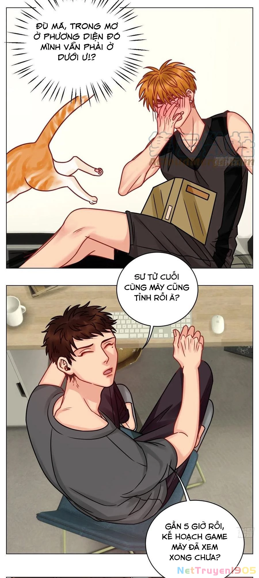 Ký Túc Xá Nam Phòng 303 Chapter 189 - 16