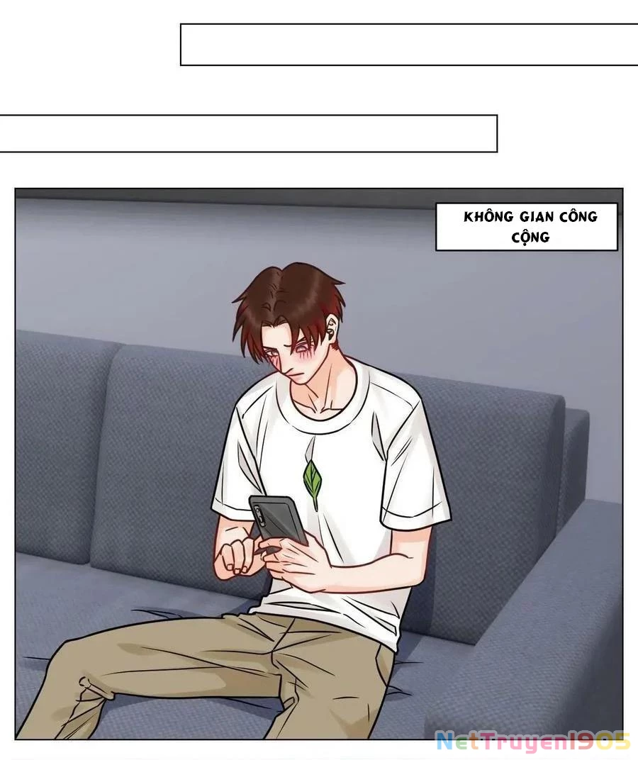Ký Túc Xá Nam Phòng 303 Chapter 191 - 15