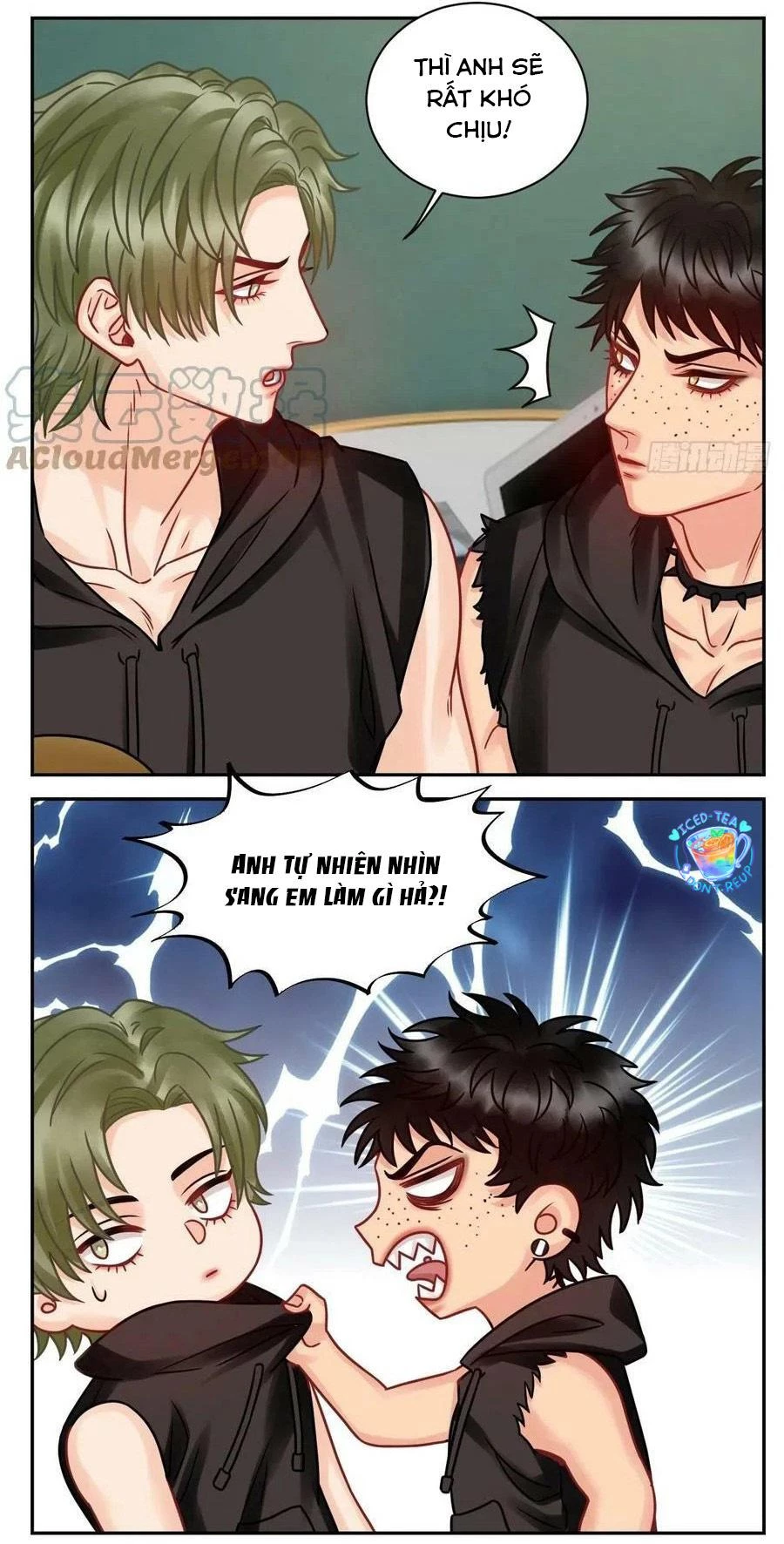 Ký Túc Xá Nam Phòng 303 Chapter 192 - 13