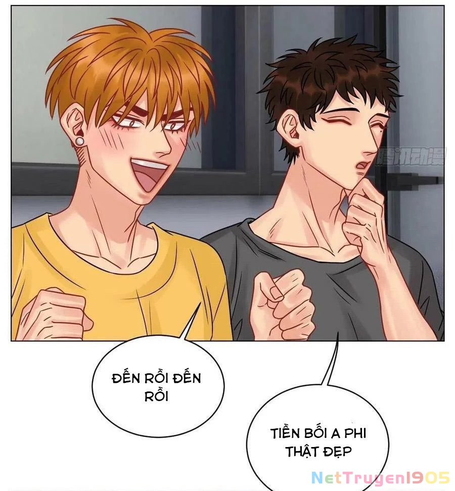 Ký Túc Xá Nam Phòng 303 Chapter 195 - 7