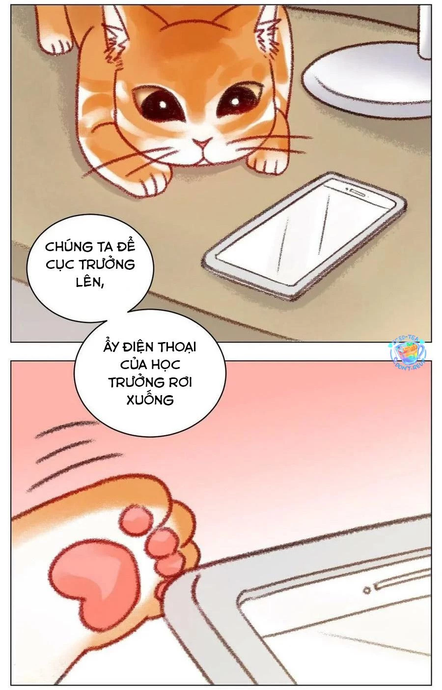 Ký Túc Xá Nam Phòng 303 Chapter 196 - 12