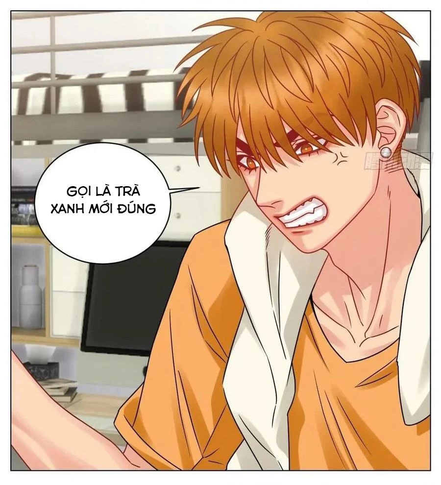 Ký Túc Xá Nam Phòng 303 Chapter 198 - 17