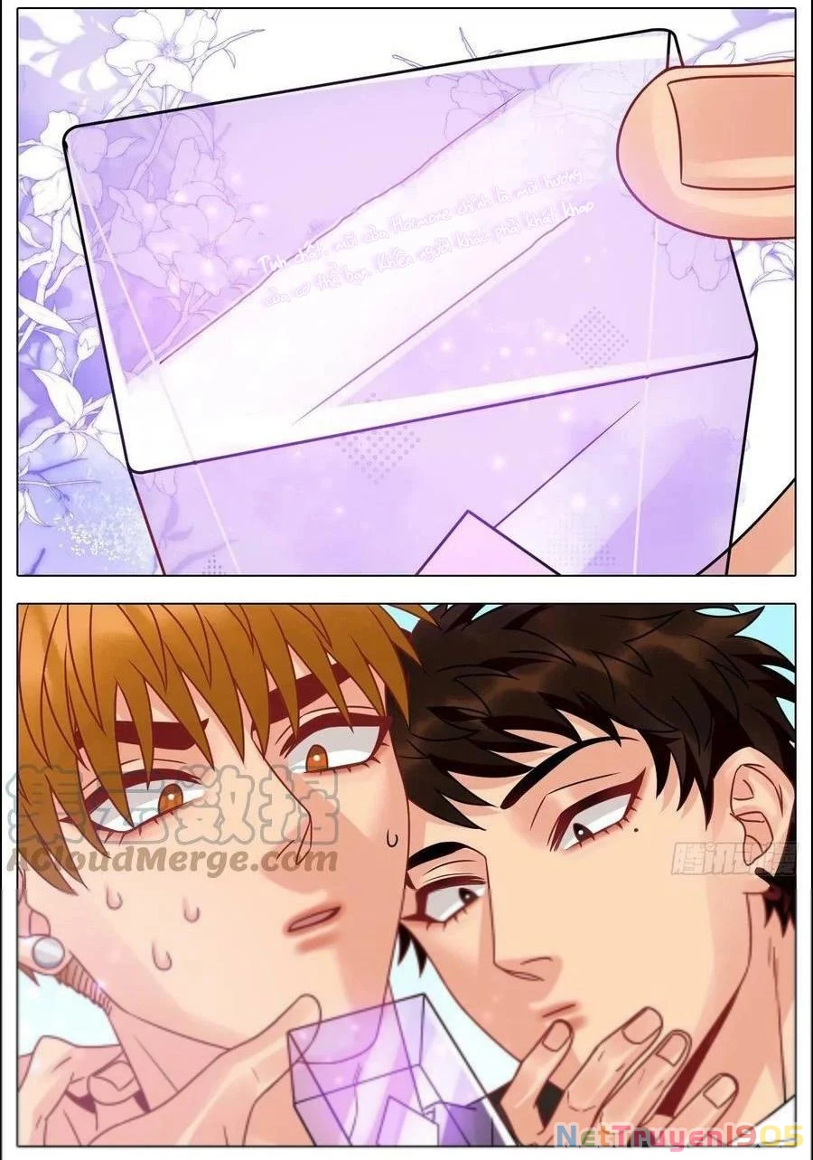 Ký Túc Xá Nam Phòng 303 Chapter 199 - 20