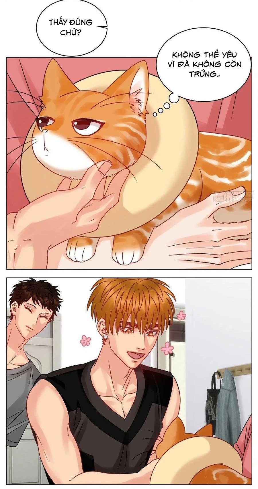 Ký Túc Xá Nam Phòng 303 Chapter 204 - 4