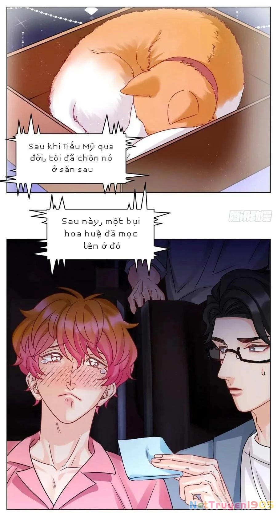 Ký Túc Xá Nam Phòng 303 Chapter 210 - 12