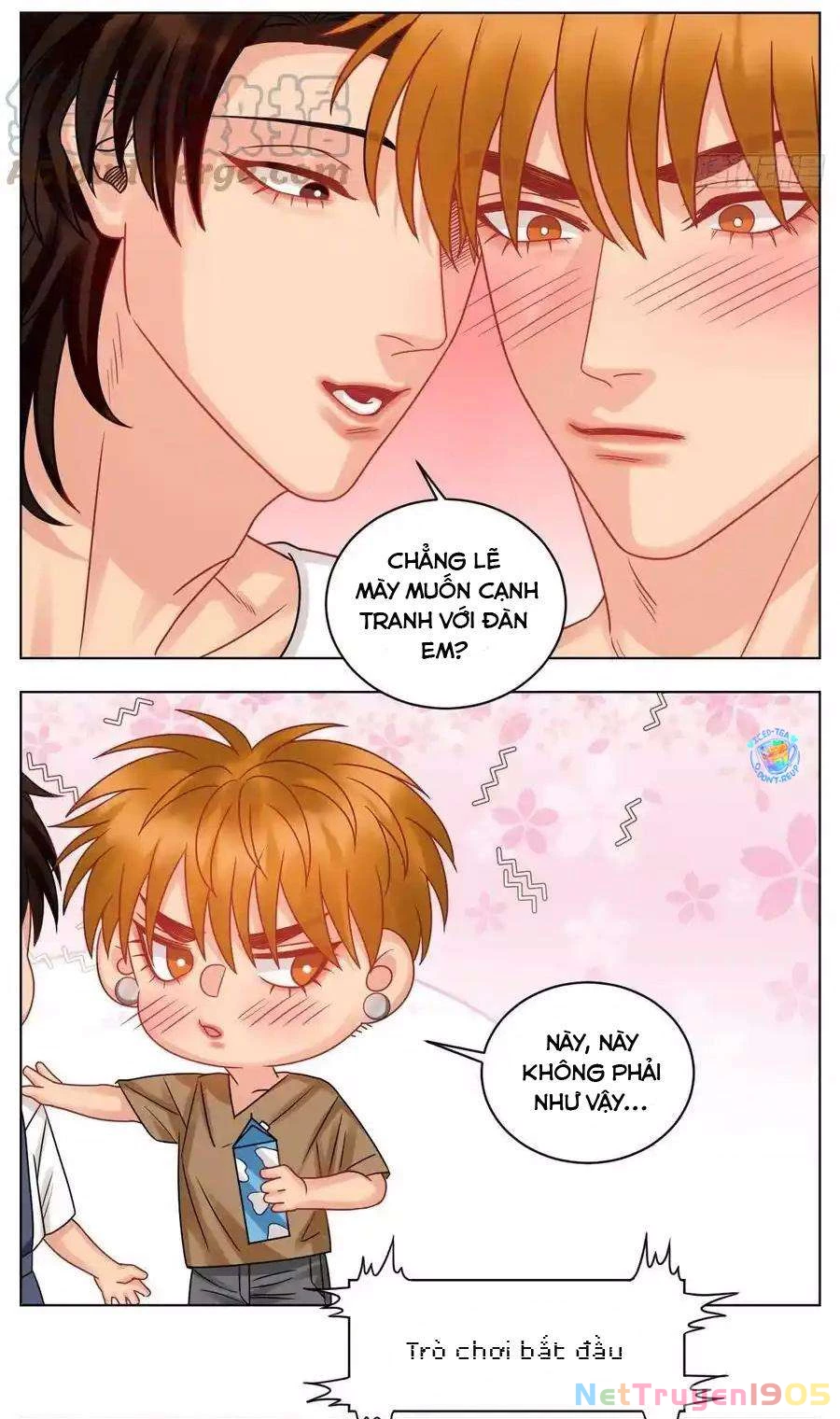 Ký Túc Xá Nam Phòng 303 Chapter 216 - 13