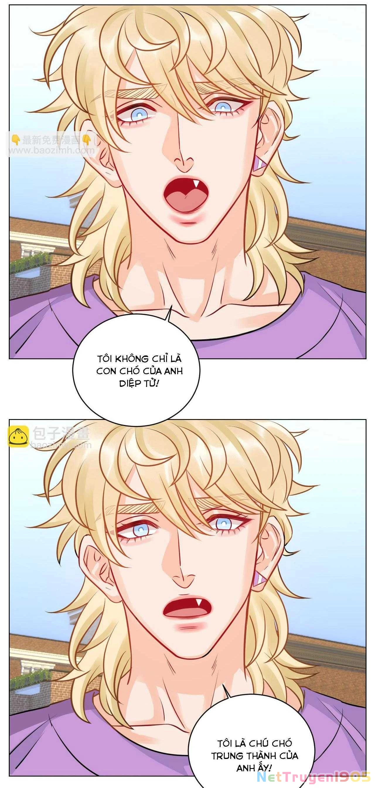 Ký Túc Xá Nam Phòng 303 Chapter 226 - 17