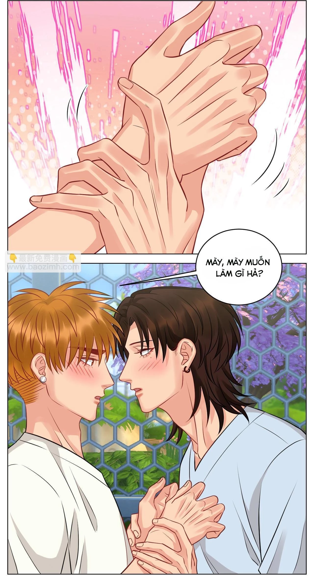 Ký Túc Xá Nam Phòng 303 Chapter 232 - 10