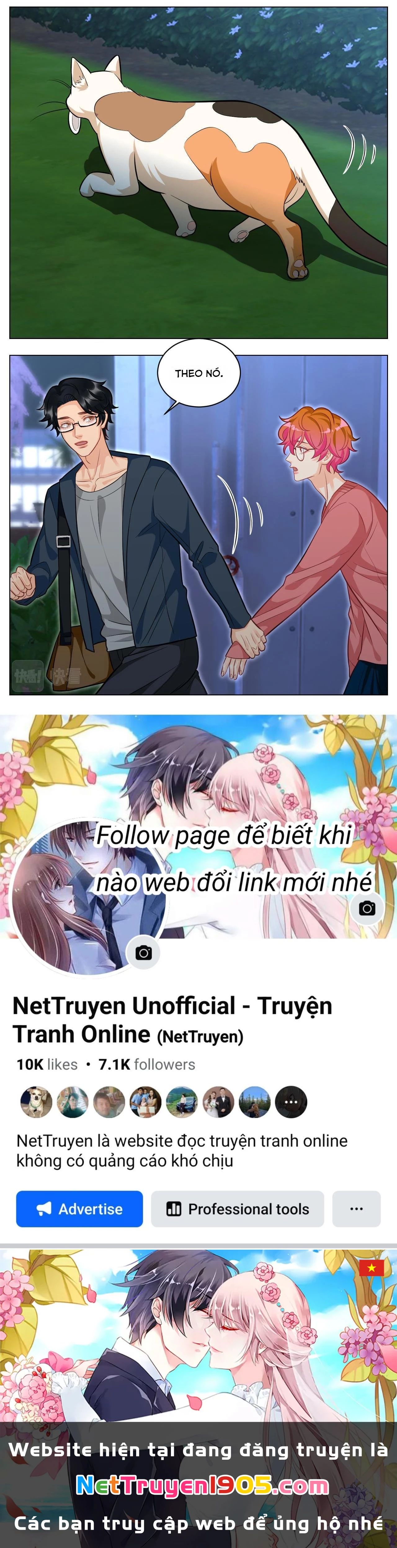 Ký Túc Xá Nam Phòng 303 Chapter 237 - 17