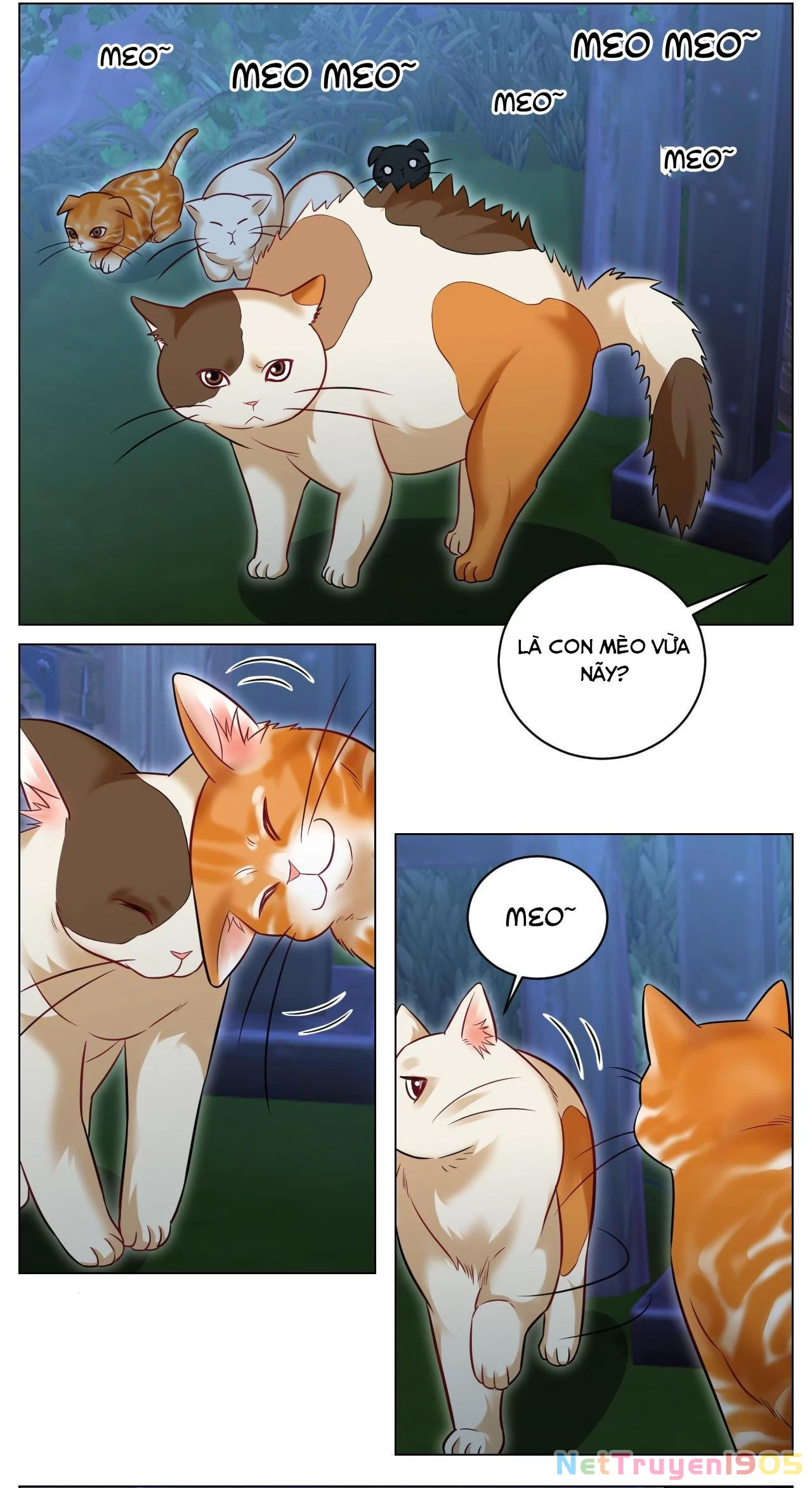 Ký Túc Xá Nam Phòng 303 Chapter 238 - 8