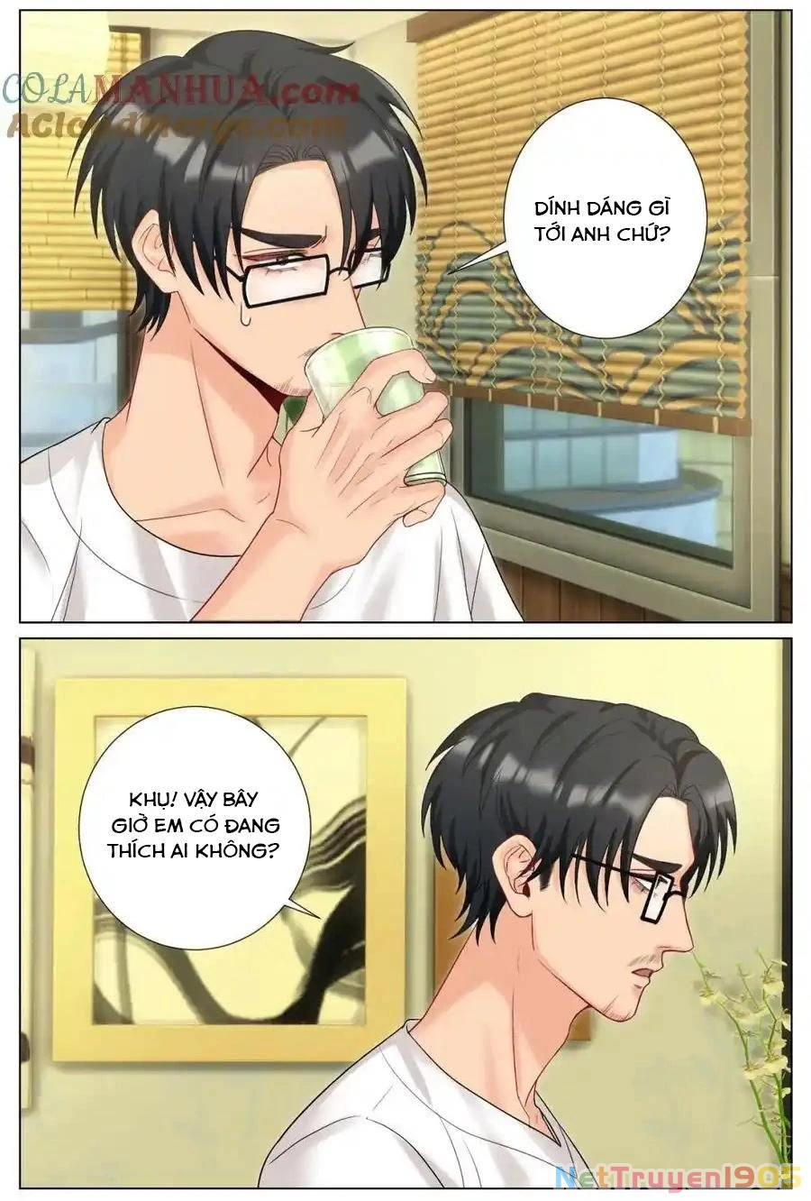 Ký Túc Xá Nam Phòng 303 Chapter 242 - 5