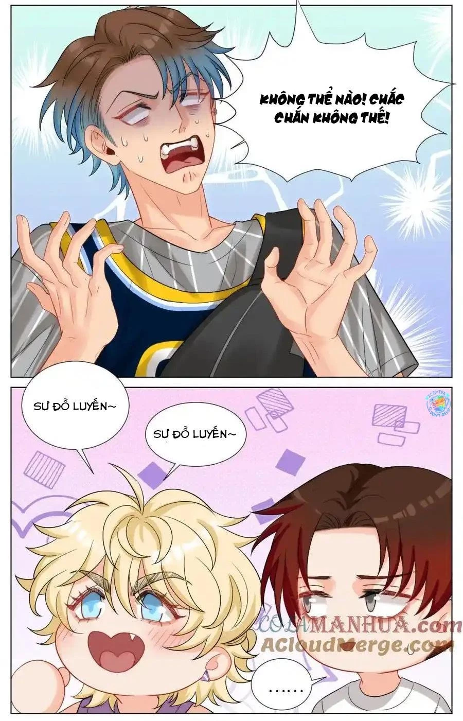 Ký Túc Xá Nam Phòng 303 Chapter 243 - 15