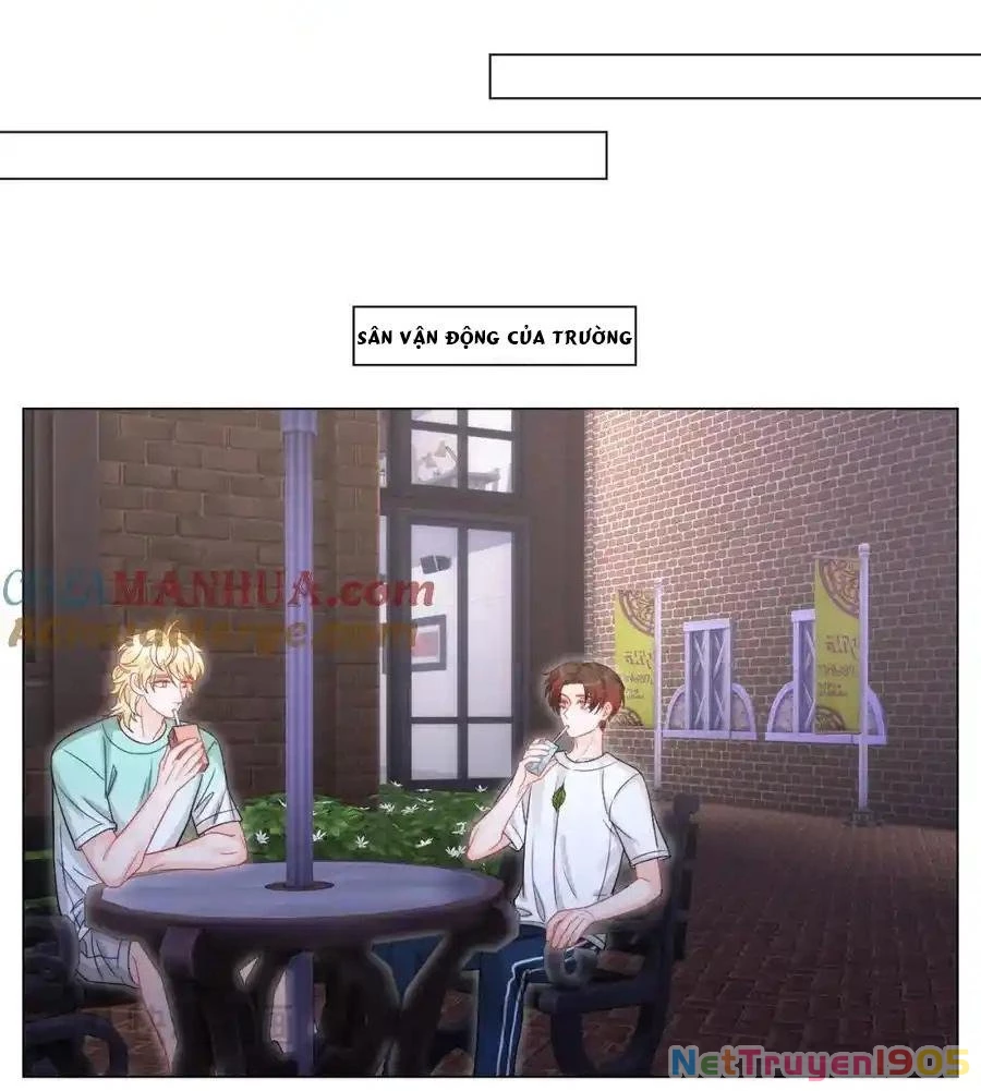 Ký Túc Xá Nam Phòng 303 Chapter 244 - 6