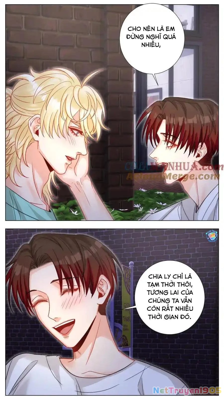 Ký Túc Xá Nam Phòng 303 Chapter 244 - 14