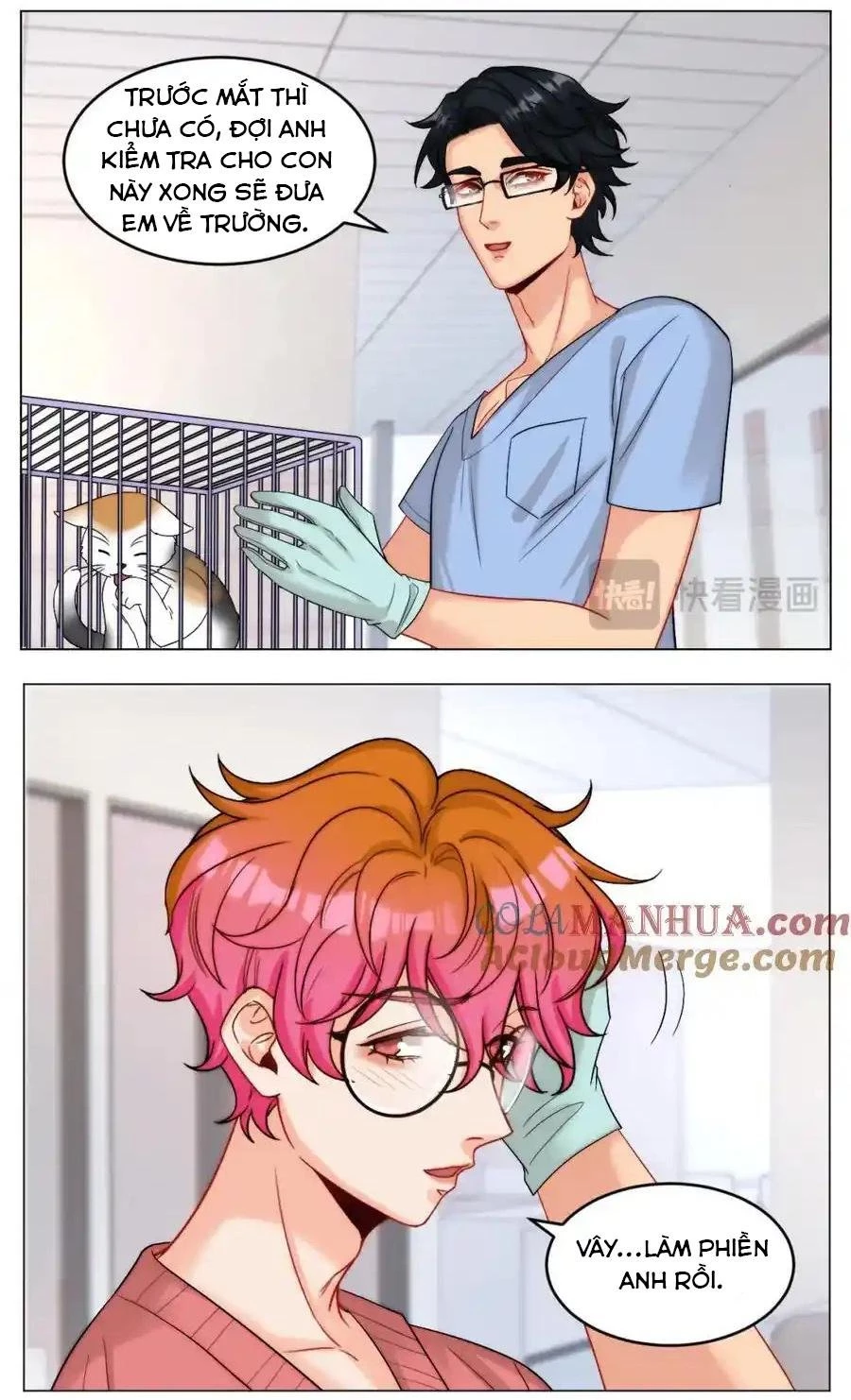 Ký Túc Xá Nam Phòng 303 Chapter 245 - 4