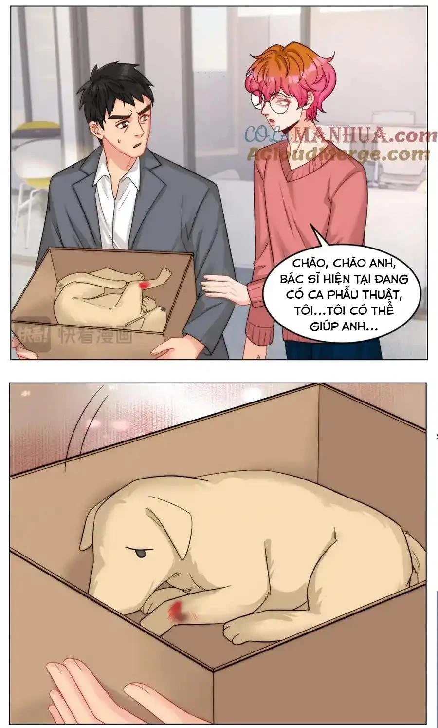 Ký Túc Xá Nam Phòng 303 Chapter 245 - 9