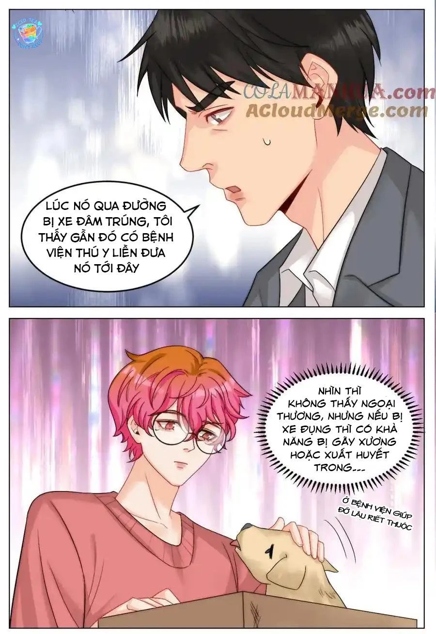 Ký Túc Xá Nam Phòng 303 Chapter 245 - 10