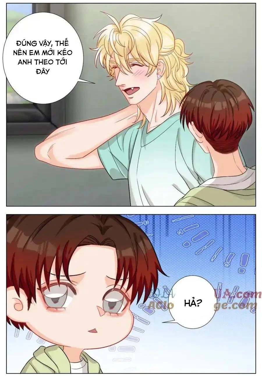 Ký Túc Xá Nam Phòng 303 Chapter 246 - 3