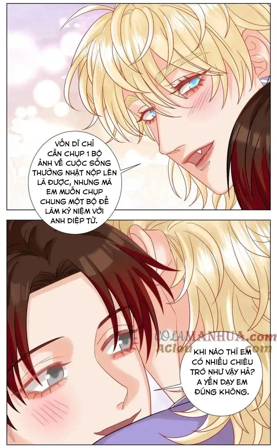 Ký Túc Xá Nam Phòng 303 Chapter 246 - 8