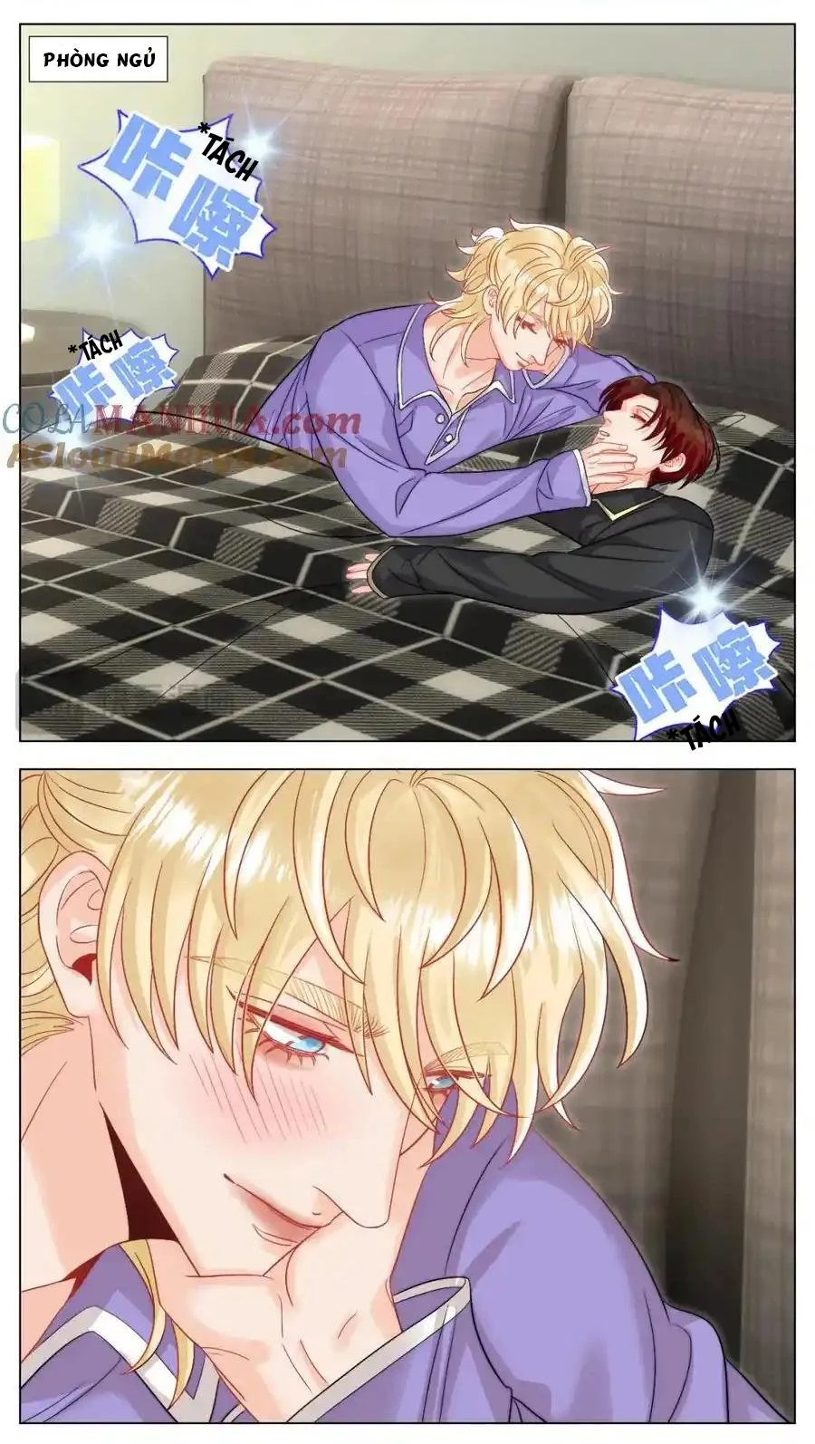 Ký Túc Xá Nam Phòng 303 Chapter 246 - 14
