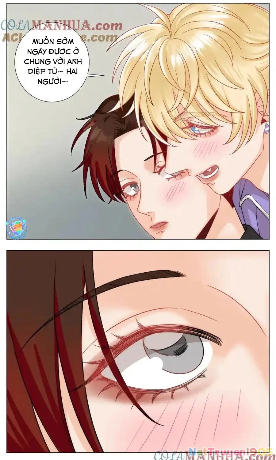 Ký Túc Xá Nam Phòng 303 Chapter 246 - 16