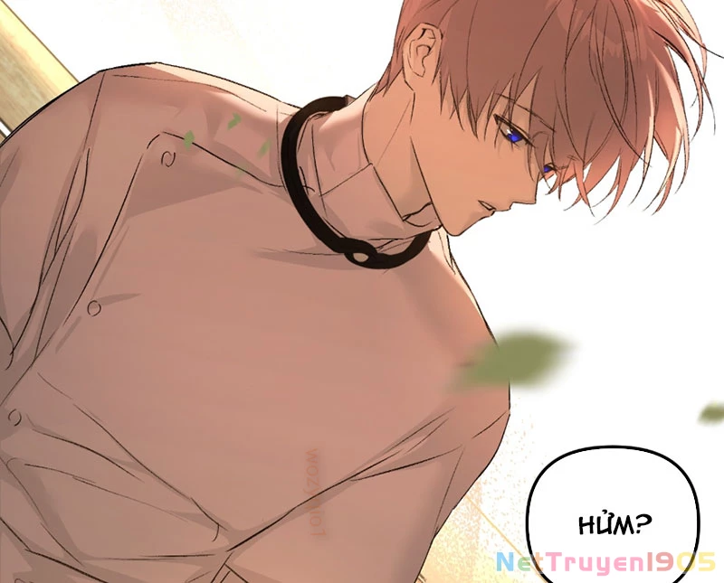 Ác Chi Hoàn Chapter 54 - 40