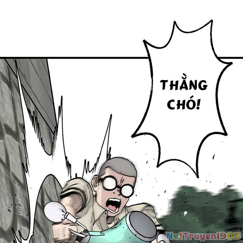 Sự bí ẩn của học sinh chuyển trường Chapter 3 - Trang 2