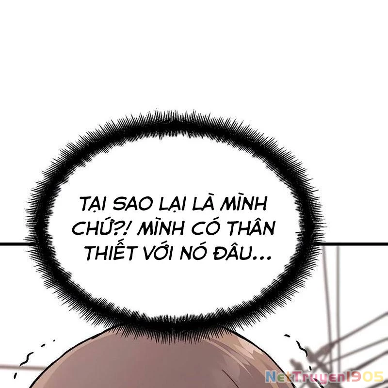 Sự bí ẩn của học sinh chuyển trường Chapter 3 - Trang 2