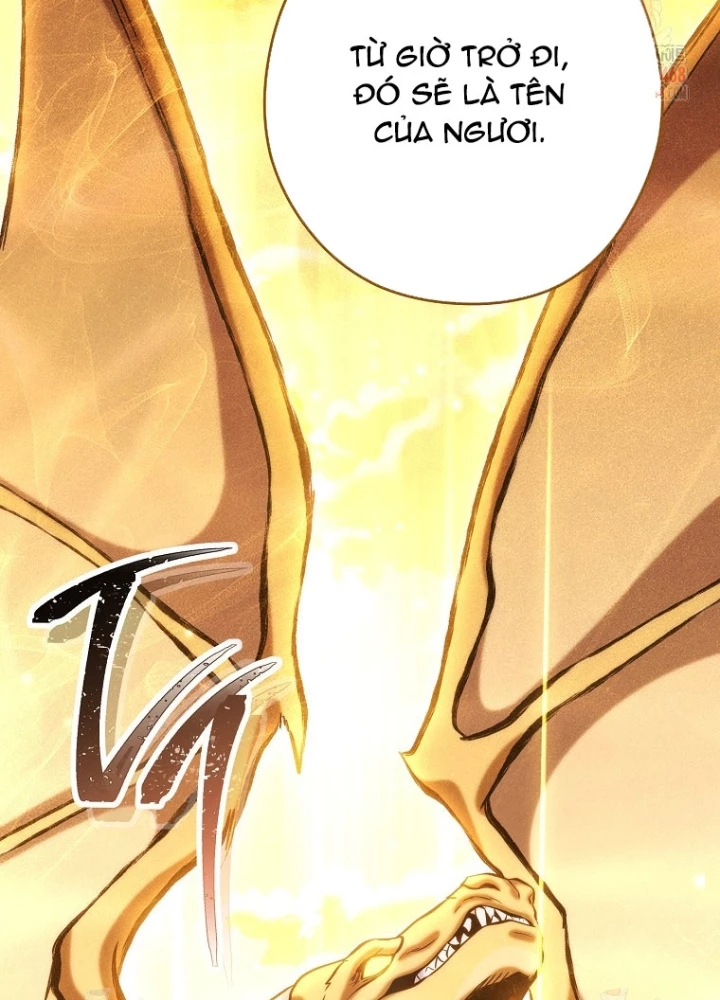 Tái Thiết Hầm Ngục Chapter 248 - 285