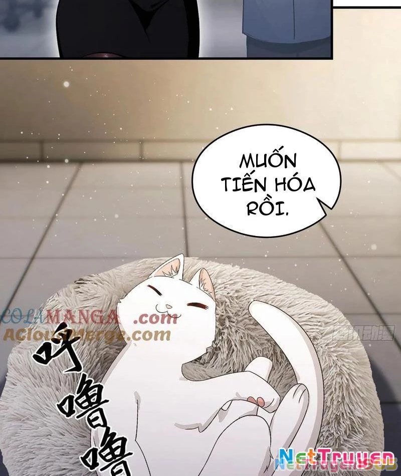 Ảo Ma! Ta Mở Lớp Huấn Luyện Nữ Đế! Chapter 102 - 6
