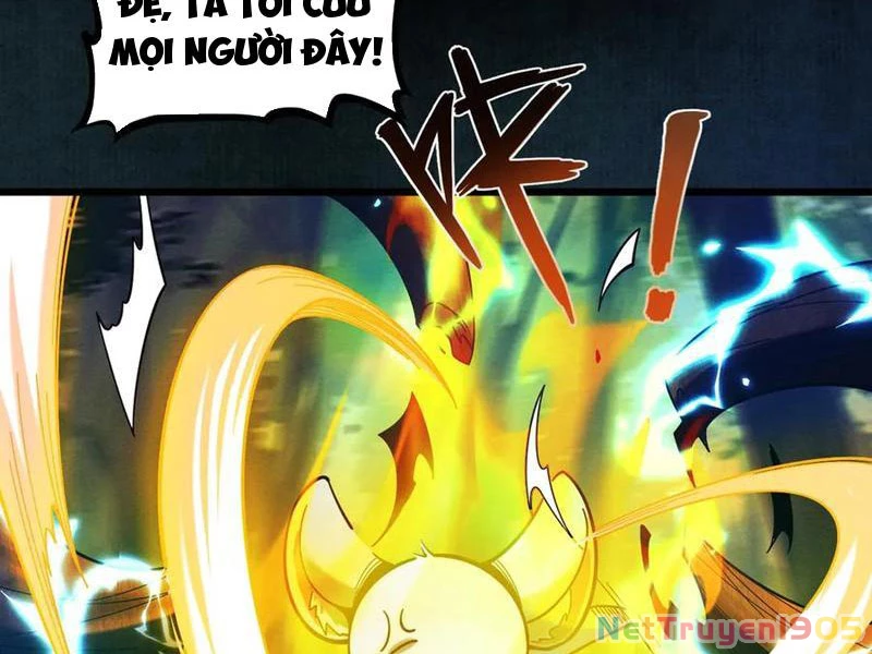 Gặp Mạnh Thì Mạnh, Ta Tu Vi Vô Thượng Hạn Chapter 46 - Trang 2