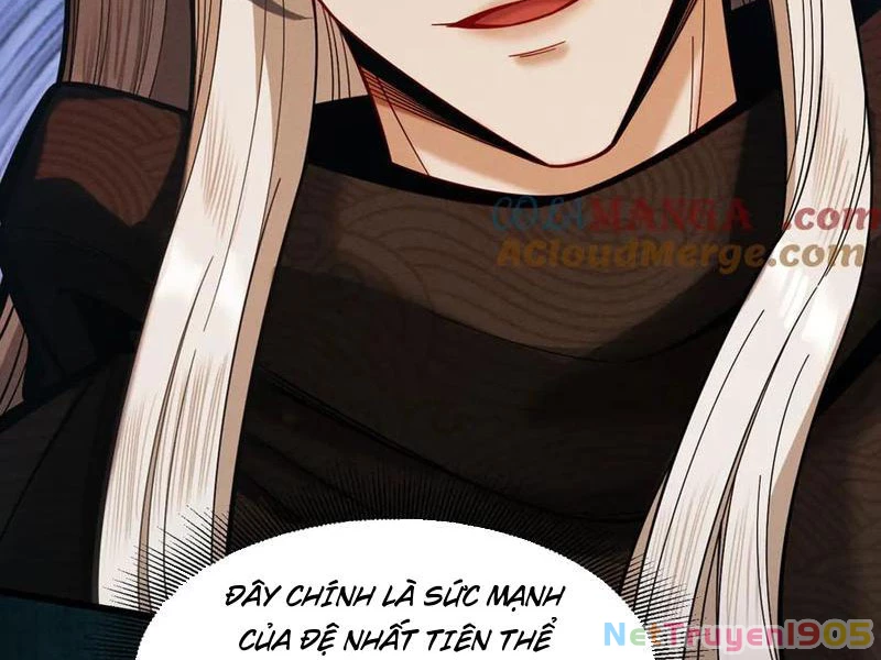 Gặp Mạnh Thì Mạnh, Ta Tu Vi Vô Thượng Hạn Chapter 46 - Trang 2