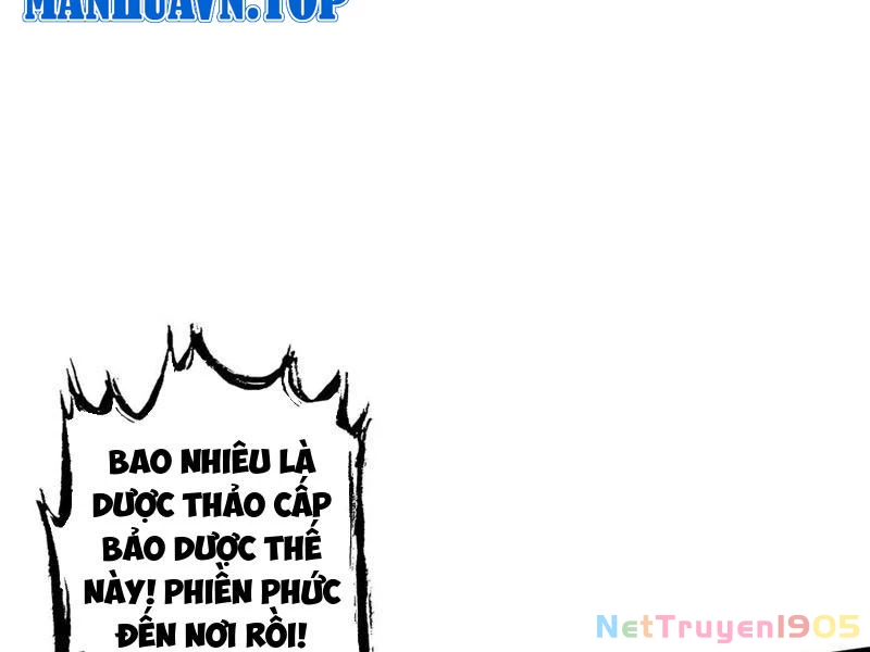 Gặp Mạnh Thì Mạnh, Ta Tu Vi Vô Thượng Hạn Chapter 46 - Trang 2