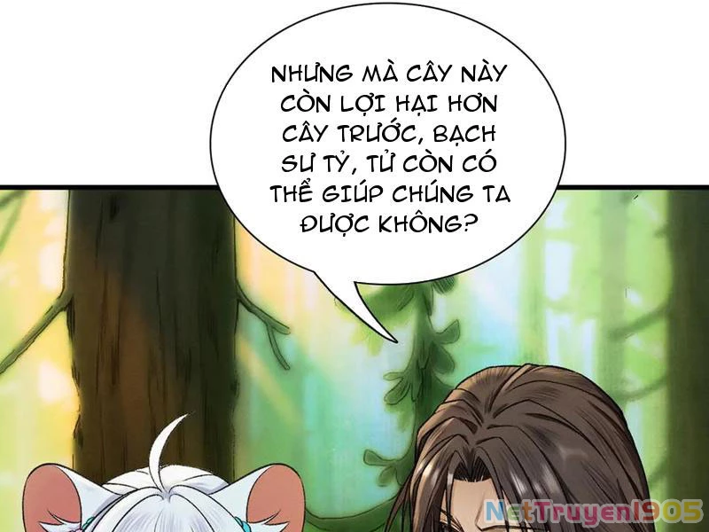 Gặp Mạnh Thì Mạnh, Ta Tu Vi Vô Thượng Hạn Chapter 46 - Trang 2