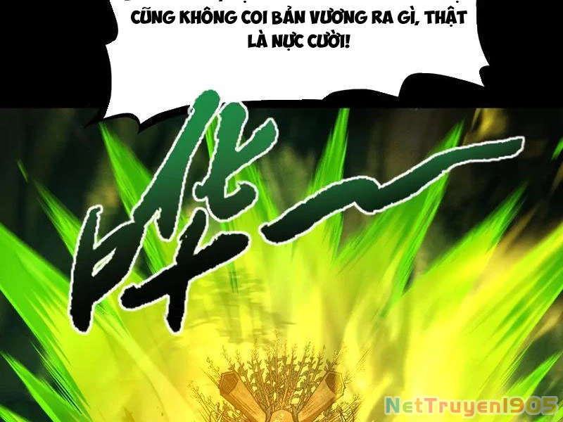 Gặp Mạnh Thì Mạnh, Ta Tu Vi Vô Thượng Hạn Chapter 46 - Trang 2