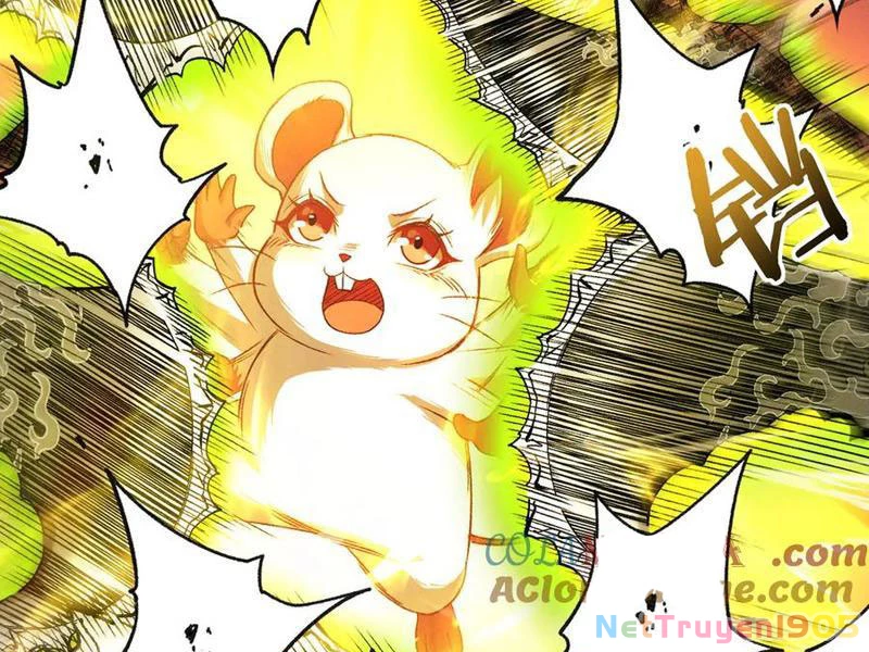 Gặp Mạnh Thì Mạnh, Ta Tu Vi Vô Thượng Hạn Chapter 46 - Trang 2