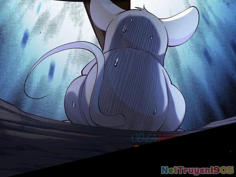 Gặp Mạnh Thì Mạnh, Ta Tu Vi Vô Thượng Hạn Chapter 46 - Trang 2