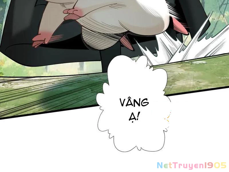 Gặp Mạnh Thì Mạnh, Ta Tu Vi Vô Thượng Hạn Chapter 46 - Trang 2