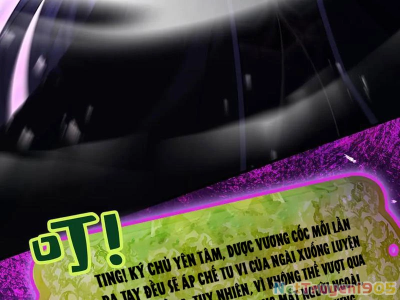 Gặp Mạnh Thì Mạnh, Ta Tu Vi Vô Thượng Hạn Chapter 46 - Trang 2
