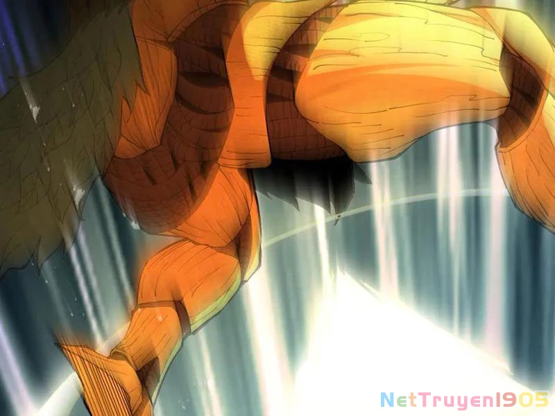 Gặp Mạnh Thì Mạnh, Ta Tu Vi Vô Thượng Hạn Chapter 46 - Trang 2