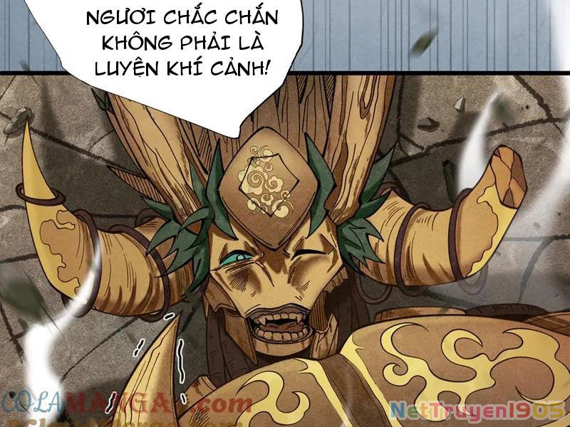 Gặp Mạnh Thì Mạnh, Ta Tu Vi Vô Thượng Hạn Chapter 46 - Trang 2